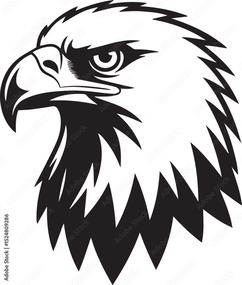 Obraz premium Eagle Head Illustration