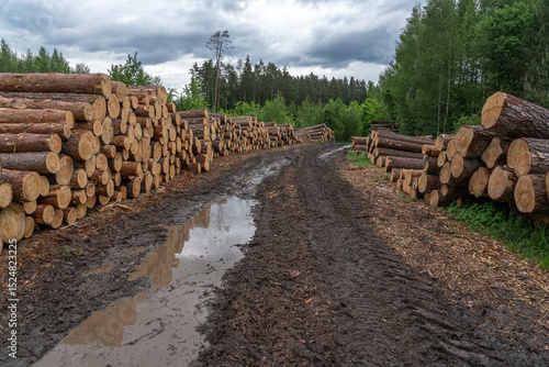 stack of logs at roadside