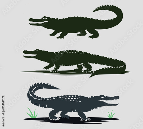 vector illustration of a cartoon crocodile