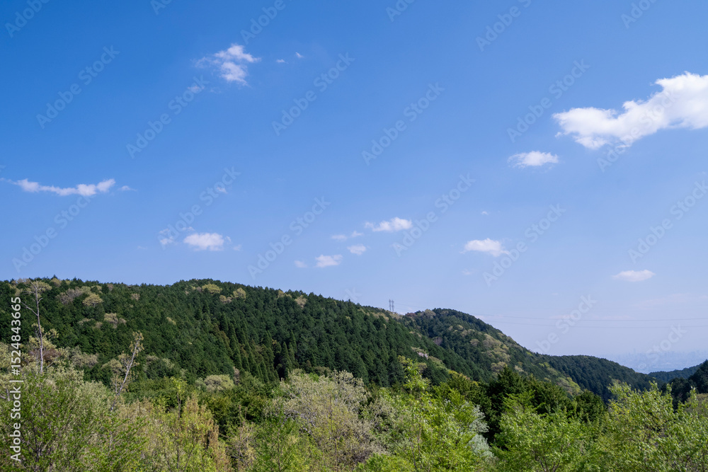 新緑と空 新緑と空