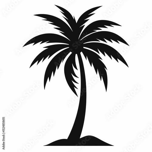 silhouette of palm tree