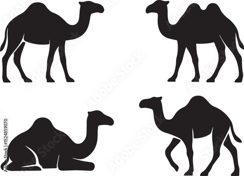 Camels set isolated vector illustration