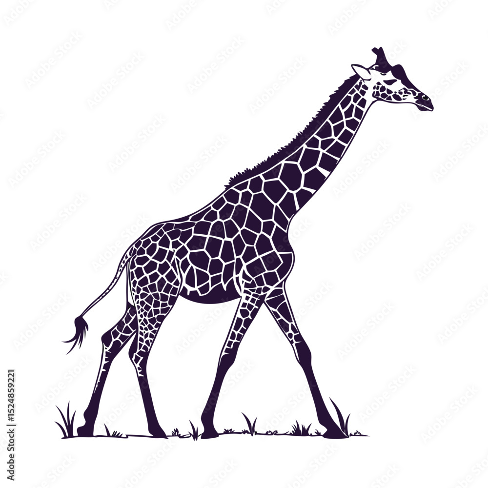 Obraz premium silhouette giraffe on white background