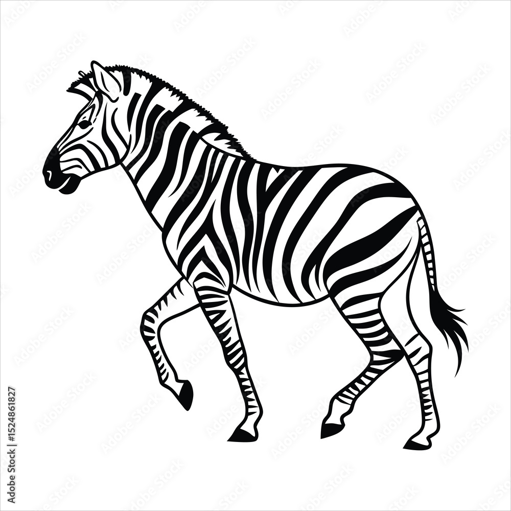 Obraz premium silhouette zebra on white background