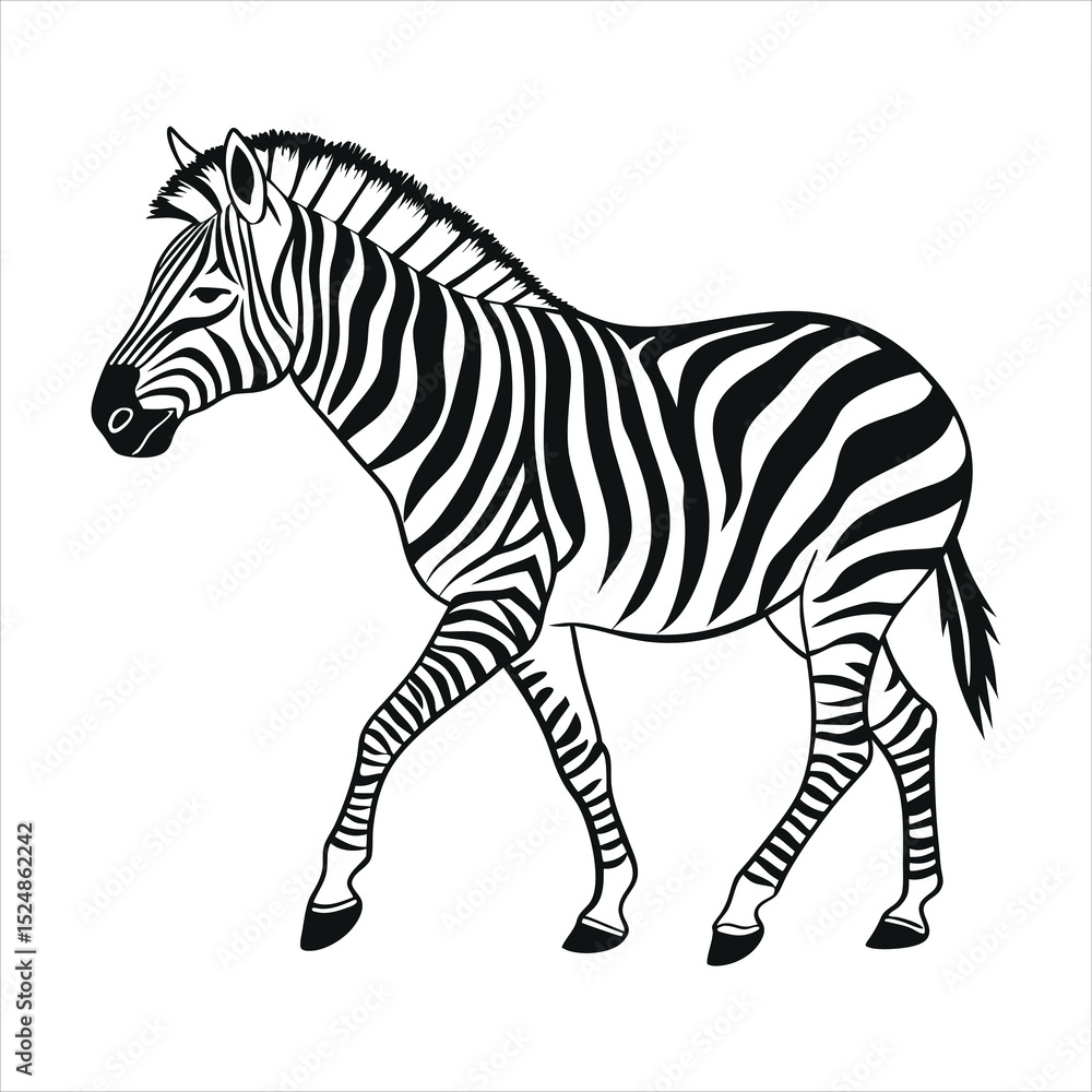 Obraz premium silhouette zebra on white background