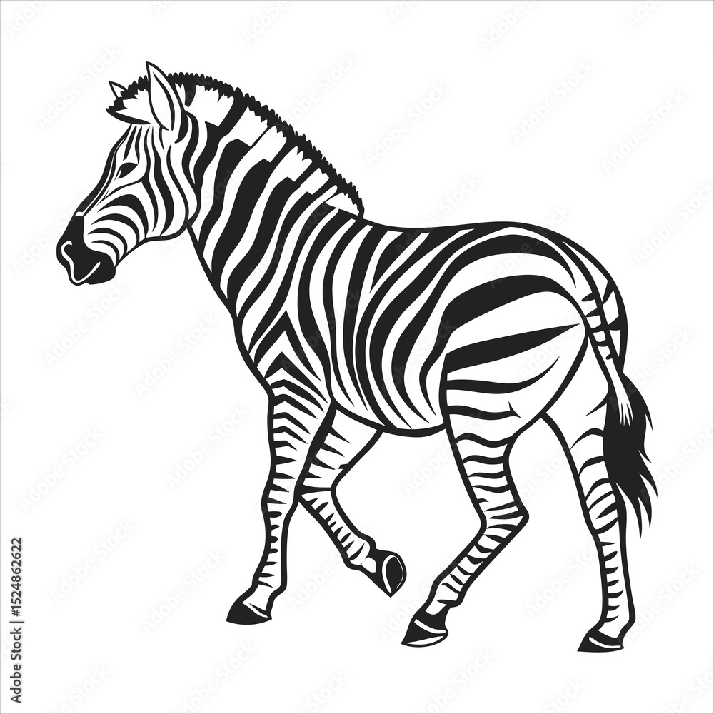 Obraz premium silhouette zebra on white background