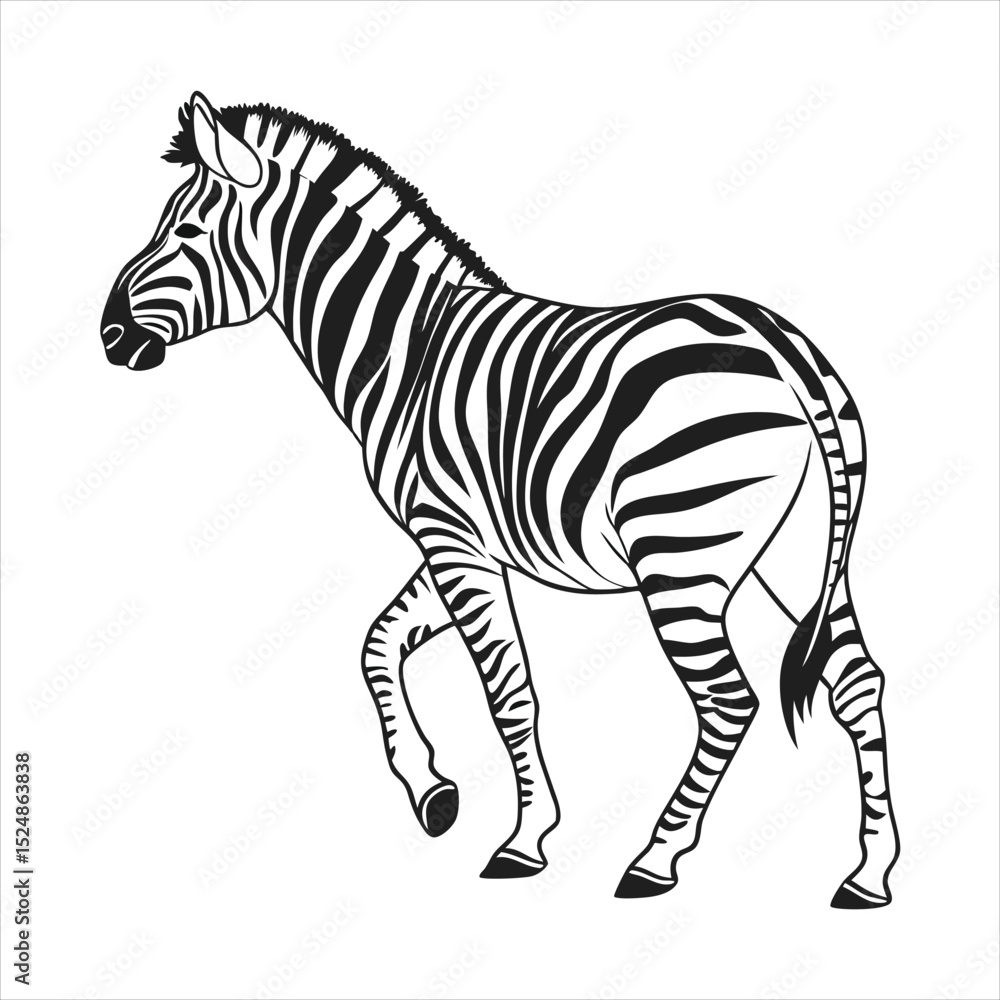 Obraz premium silhouette zebra on white background