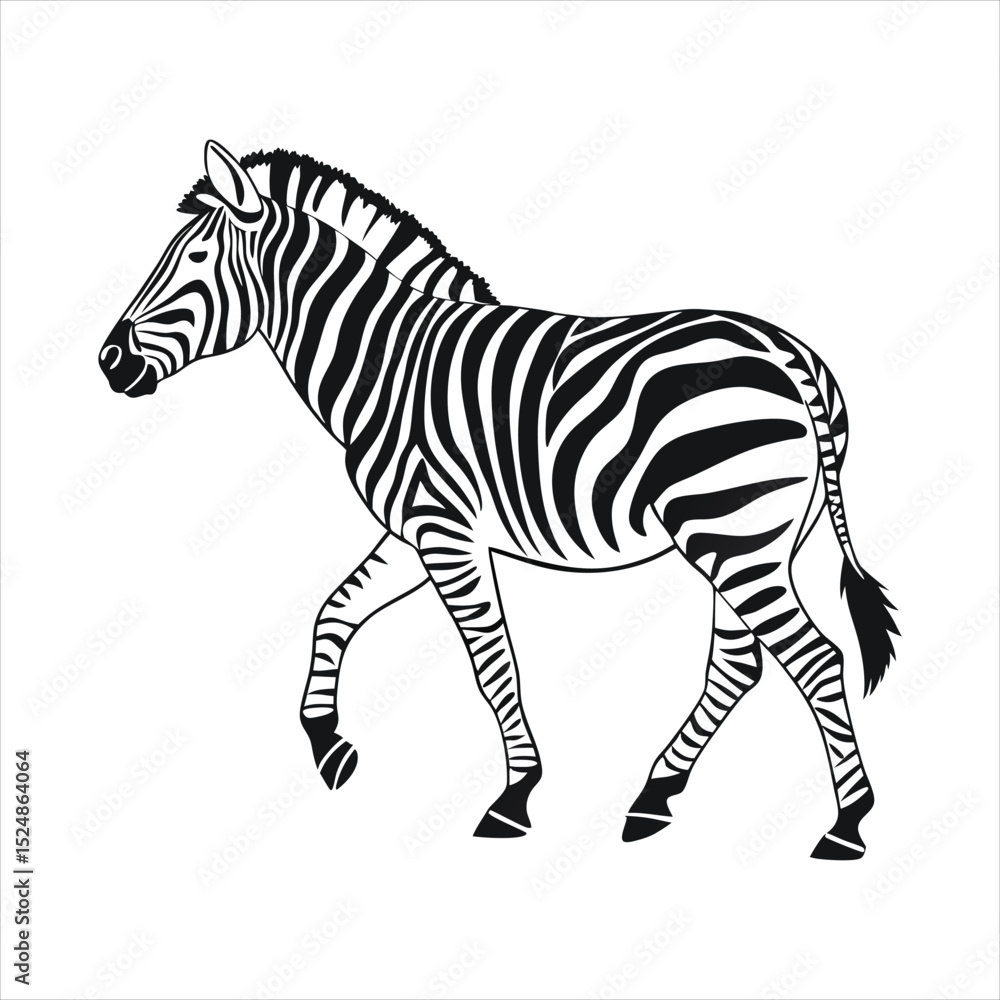 Obraz premium silhouette zebra on white background