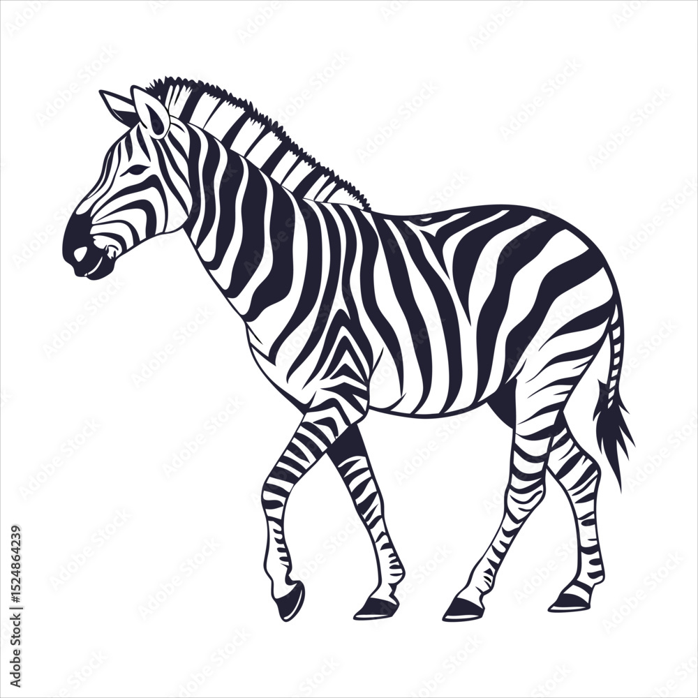 Obraz premium silhouette zebra on white background