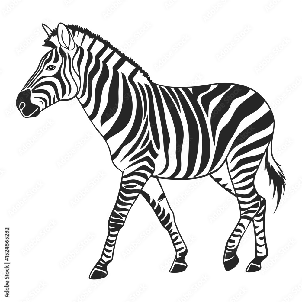 Fototapeta premium silhouette zebra on white background