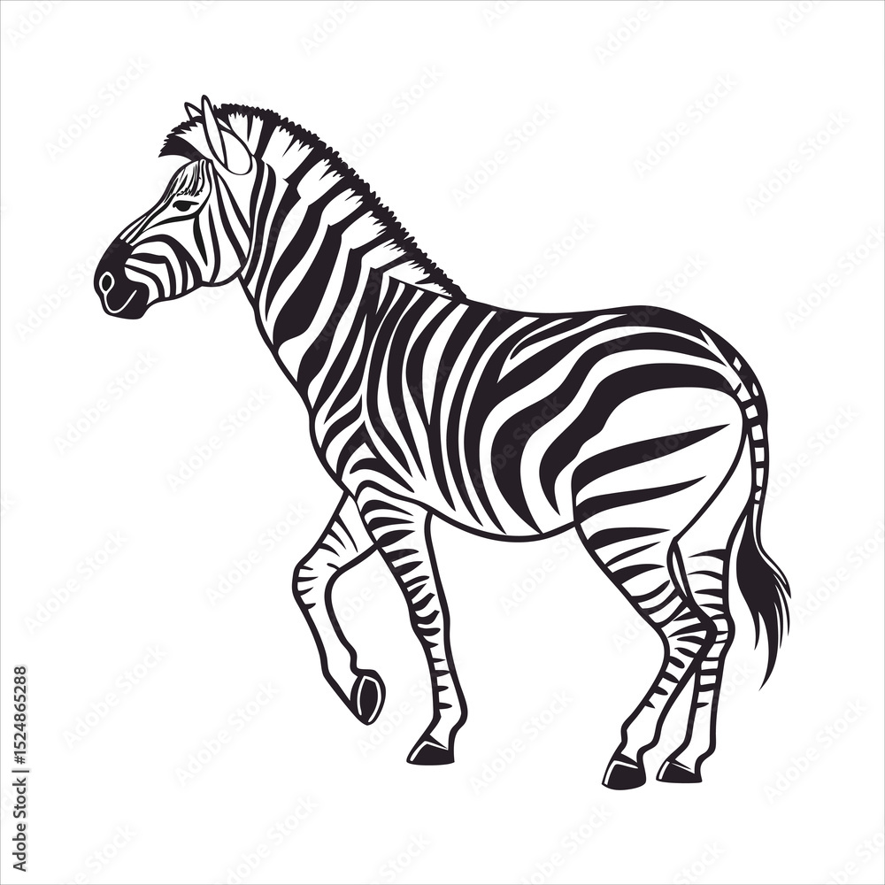 Fototapeta premium silhouette zebra on white background