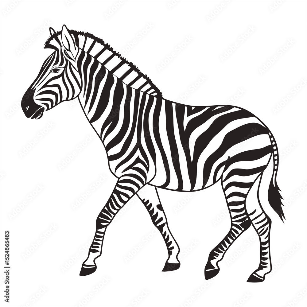 Obraz premium silhouette zebra on white background