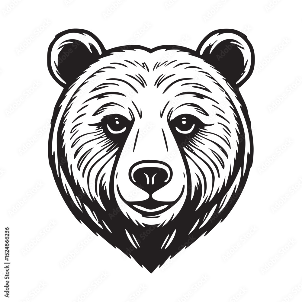 bear head vector bear head vector