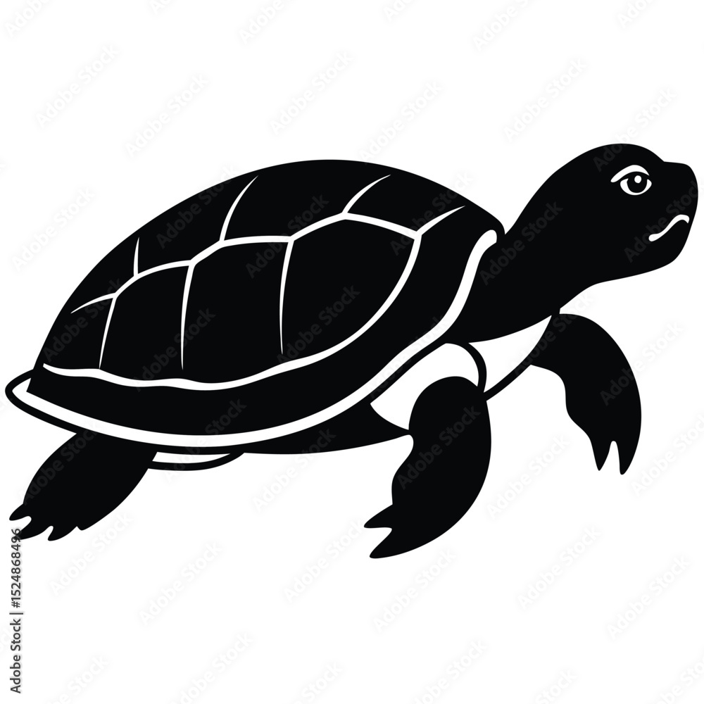 Fototapeta premium silhouette turtle on white background