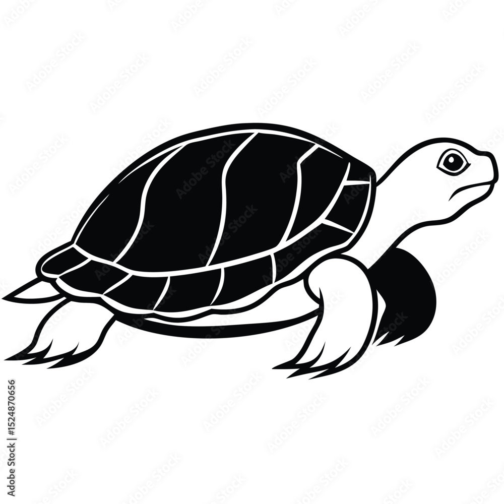 Fototapeta premium silhouette turtle on white background