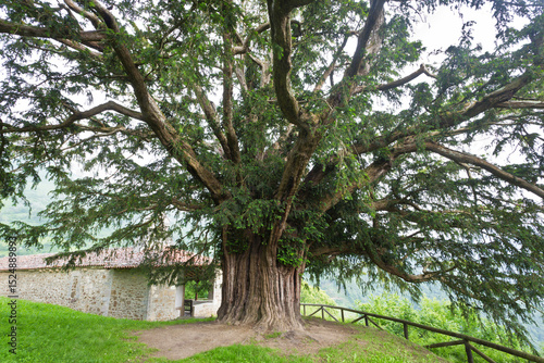 Yew Bermiego, Asturias, Spain