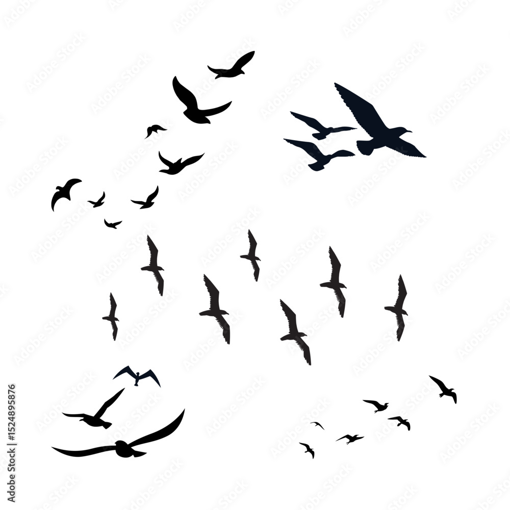 Birds flying gracefully through the sky, using their wings to glide, soar, and navigate the air.
Birds flying gracefully through the sky, using their wings to glide, soar, and navigate the air.