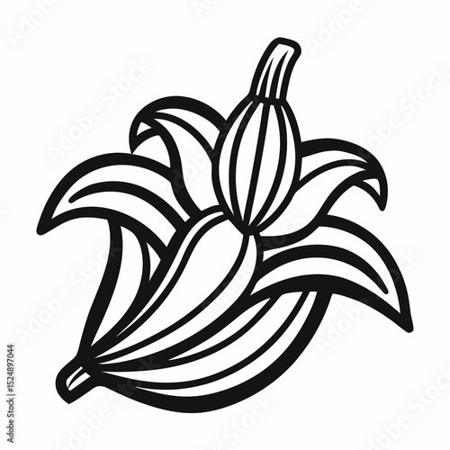 plantain isolated on white background