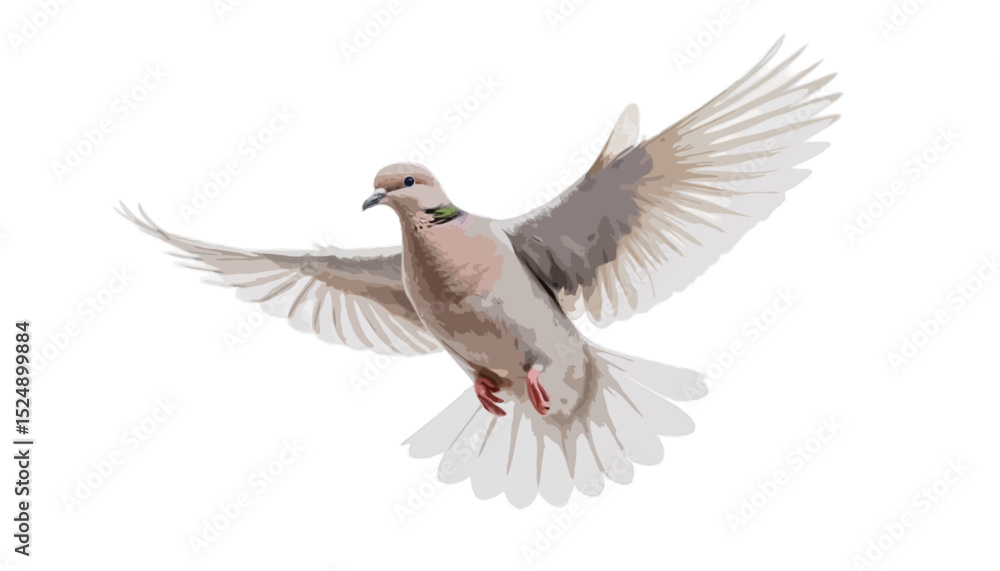 Fototapeta premium Dove flying isolated on transparent background