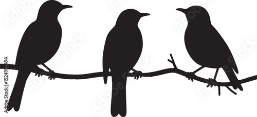 bird silhouette, flying bird vector, perched bird outline, feathered animal design, songbird sketch, avian profile image, bird in flight silhouette, beak and wings clipart,