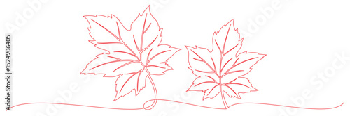 continuous line drawing of maple leaf for canada day 2