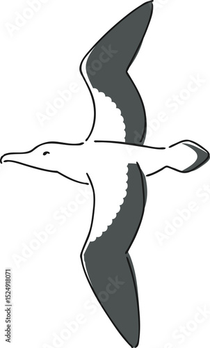 手描きのアホウドリのイラスト