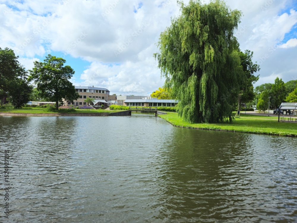 Fototapeta premium Lake in which fish swim. Nature, sea, sunset, summer. bridge. A beautiful scenic view of a lake and landscape.