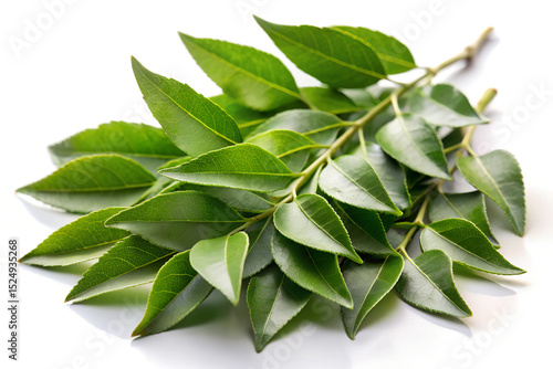Wallpaper Mural Green Tea Leaves Isolated on White Background. Generative AI Torontodigital.ca