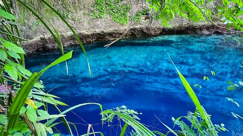 Wallpaper Mural Blue water in Enchanted River surrounded by green plants. Hinatuan, Surigao del Sur. Philippines. Torontodigital.ca