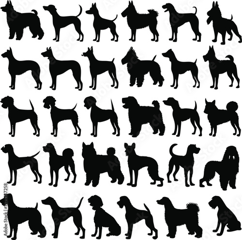 Silhouettes of various dog breeds representing a collection of popular canine companions in black and white vectors