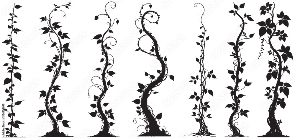 Obraz premium Jungle creeper silhouettes. Tropical forest lianas, rainforest hanging sprouts. Climbing liana vines set vector