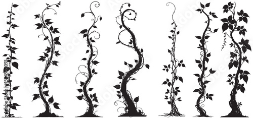Jungle creeper silhouettes. Tropical forest lianas, rainforest hanging sprouts. Climbing liana vines  set vector