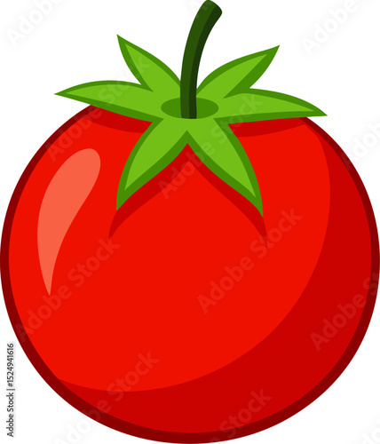 tomato vector illustration