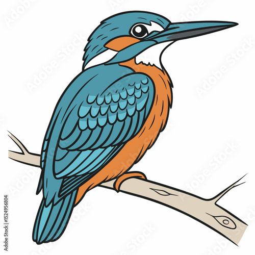 Kingfisher Perched: A stunning Kingfisher, with its brilliant blue, orange, and white plumage, perches gracefully on a slender branch, the focus solely on its exquisite avian detail. 