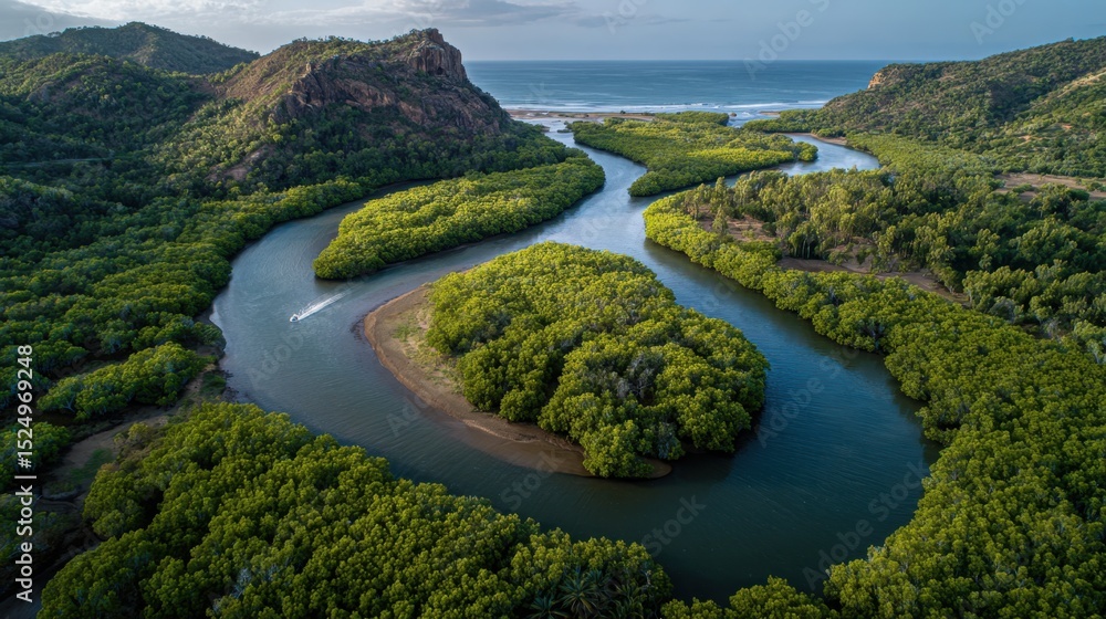 Aerial View of Serpentine River Through Green Mangrove Forest Aerial View of Serpentine River Through Green Mangrove Forest