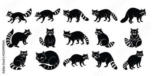 Black Raccoon Vector Silhouettes – Standing, Sitting, and Walking Poses for Animal Art Projects