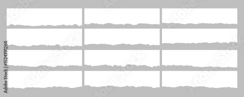 torn or ripped paper sheet. Scrapbook edge, notebook tear or blank page split vector illustration 