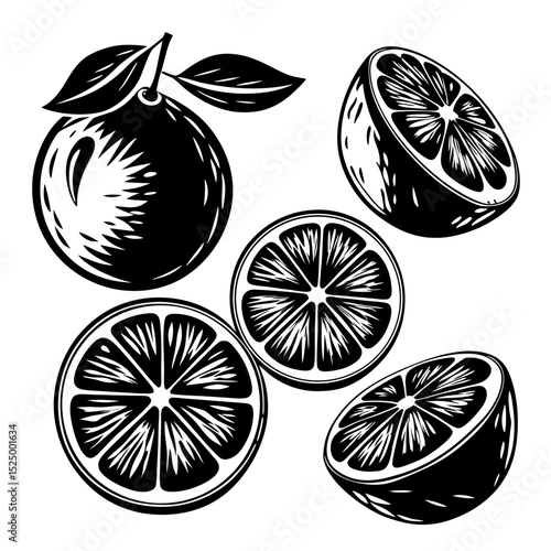 Black and white illustration of oranges and orange slices