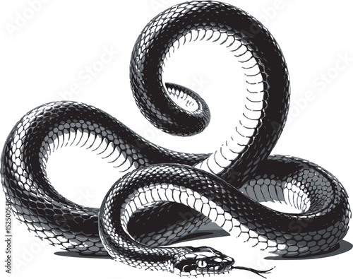 Intricate black and white vector illustration of a coiled snake with detailed scales