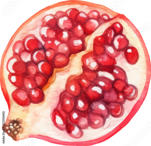 Watercolor painted pomegranate fruit. Hand drawn fresh food design element isolated on white