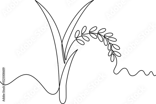 one line art Rice Plant vector illustration. line art, one continuous line, simple, hand drawn and sketch style. for icons, symbols, signs or logos. PNG