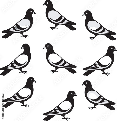 Black and white illustration of pigeons in various poses over a pure white background