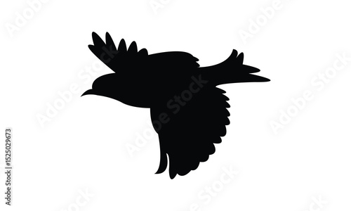 Flying Altamira oriole bird Silhouette Design  And Vector Illustration. 