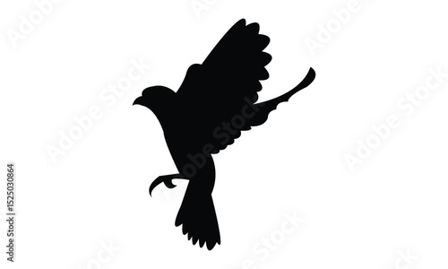 Flying Altamira oriole bird Silhouette Design  And Vector Illustration. 
