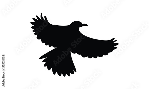Flying Altamira oriole bird Silhouette Design  And Vector Illustration. 