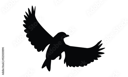 Flying Altamira oriole bird Silhouette Design  And Vector Illustration. 