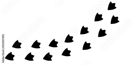 Paws of a duck. Animal paw prints, diagonal animal tracks for prints. Vector illustration.
