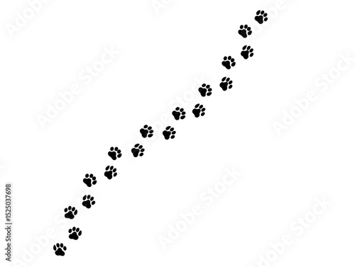 Paw print of a dog or cat. Footprint pet. Black lines animal prints isolated on white background. Tiger paws. Cute canine pattern. Puppy track. Feline step outline. Kitten leg. Vector illustration
