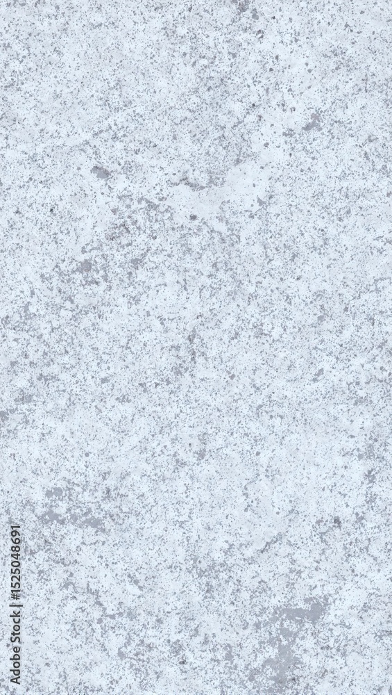 Obraz premium Gray and white rough stone texture