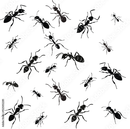 High resolution ant colony illustration